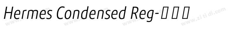 Hermes Condensed Reg字体转换